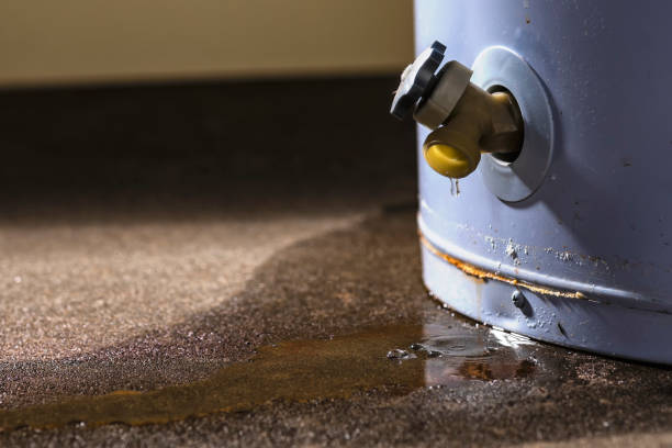  Apple Valley, OH Water damage restoration Pros