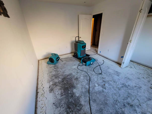 Best Sewage cleanup and water damage restoration  in Apple Valley, OH