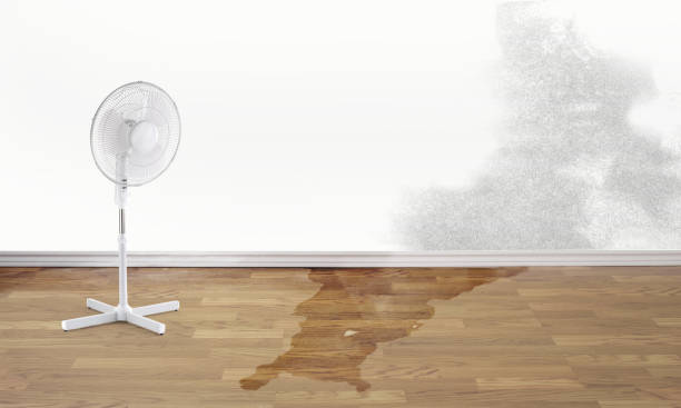 Best Ceiling water damage repair  in Apple Valley, OH