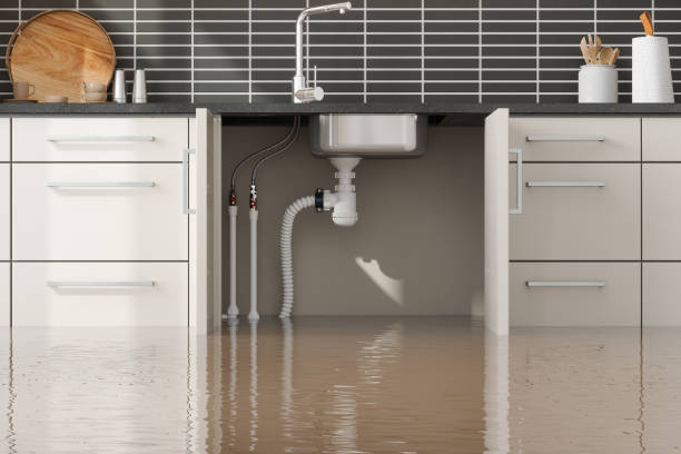 Best Flood restoration services  in Apple Valley, OH