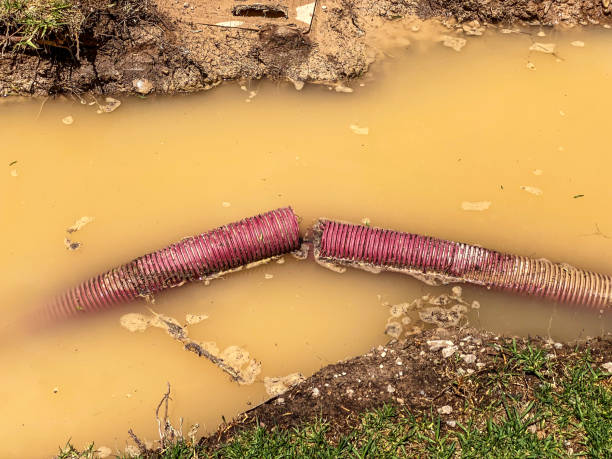 Best Water damage restoration near me  in Apple Valley, OH
